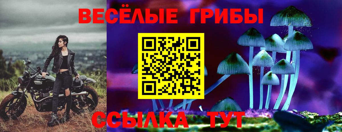 Нижнекамск  наркотики  Вход с VPN  Псилоцибиновые грибы Psilocybine cubensis 